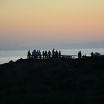 Cambria_0238 (November 04, 2017)